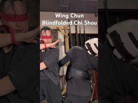 Wing Chun blindfolded Chi Shou is just a form of training #martialarts #wingchun #brucelee