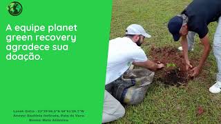 Plantando 1 milhão de árvores - Árvore Nº 29