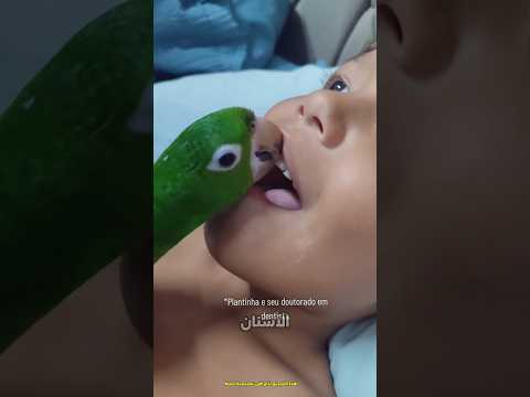 هل يمكن للبغاء إزالة الأسنان اللبنية؟ #shorts