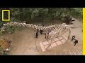 Dinosaur Discoveries and Research