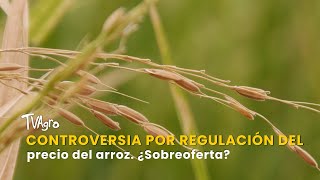 Controversia por regulación del precio del arroz. ¿Sobreoferta? – TvAgro por Juan Gonzalo Angel