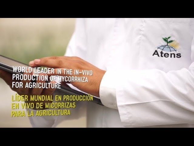 Video Fertilizantes y Agroquímicos de Atens - Agrotecnologías Naturales