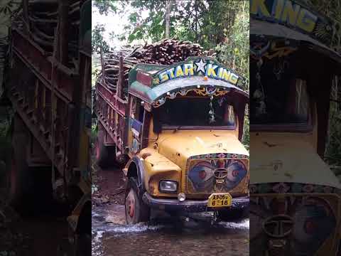 Pushpa Tipper Truck Crossing Valley in the Forest