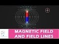 Magnetic Fields and Forces Concepts