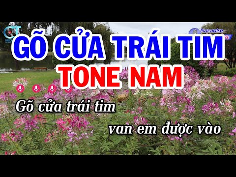 Karaoke Gõ Cửa Trái Tim Tone Nam ( Dm ) Nhạc Sống Đồng Sen