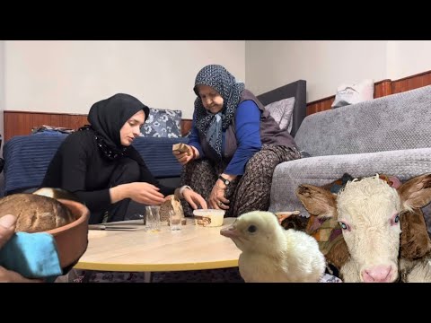 Köy Hayatında Bir Gün:Geleneksel Buğday Ekmeği, Buzağı Şifası,Yeni Doğan Civcivler ve Bahçe Bereketi