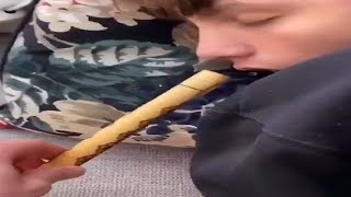 REDDIT VIDEOS THAT MADE ME SCREAM