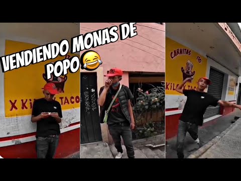 Broma vendo monas de popo