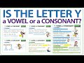 Understanding the Role of Y