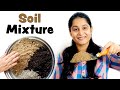 Soil Composition and Drainage Essentials