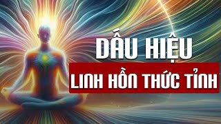 Starseed Intelligence | 9 DẤU HIỆU Chỉ Có ở  Những LINH HỒN THỨC TỈNH