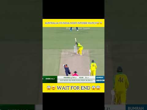 India Vs Australia Most Intense Match 😱😱 Wait for End😱😱 #viralvideo #cricket #shortsfeed