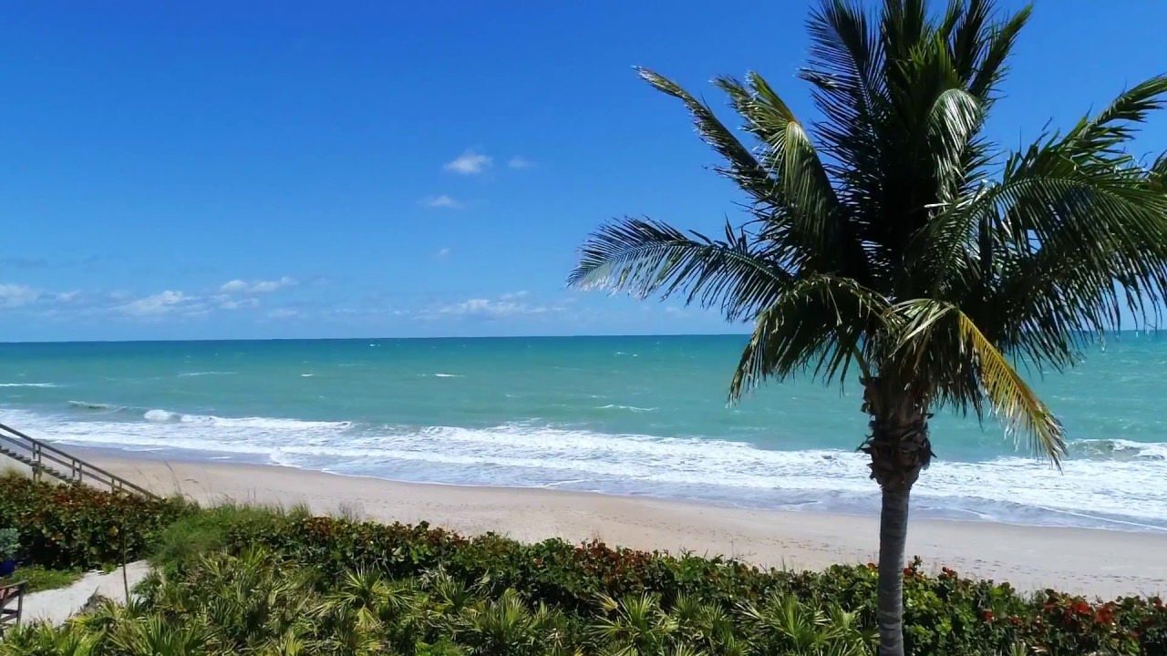 Tropical beach with palm trees and blue skies.