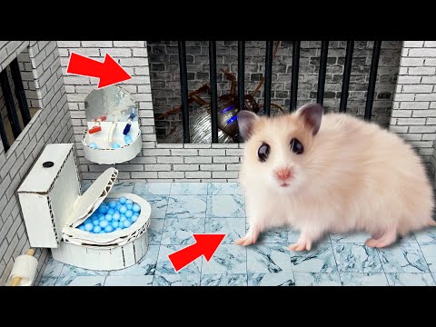 Hamster Awesome Maze - Great Escape