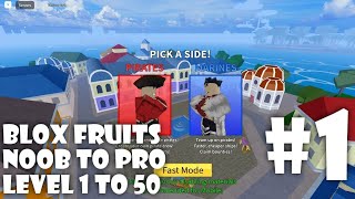 Blox Fruits: Noob to Pro - Level 1 to 50
