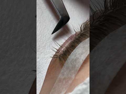 САМЫЕ НАТУРАЛЬНЫЕ РЕСНИЦЫ ИНСТ - vctr.pm #ресницы #наращиваниересниц#lashes #лэшмейкер #ресницыспб