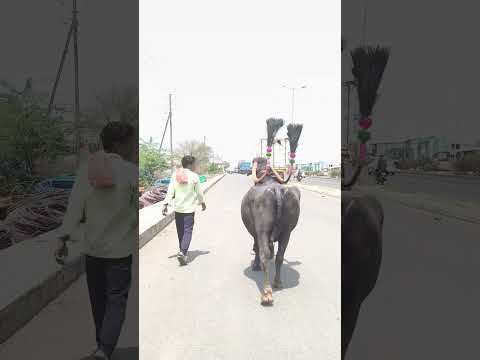 #नाद बावरी