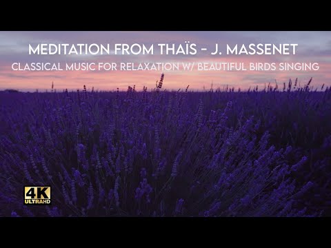 Classical Music for Relaxation: J. Massenet - Meditation from Tha&#239;s