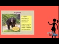 Exploring the Differences Between Nonfiction and Fiction