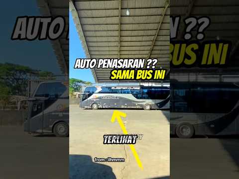 ASLI BIKIN KAGET ‼️  Bus Ini Masih Memiliki Yang Jarang Banget Ada di Bus Terbaru   #busmania