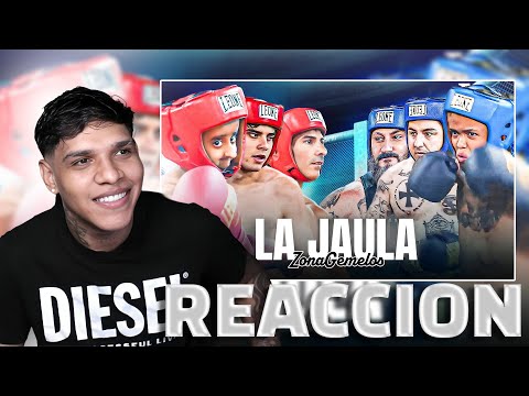 BABY ALIEN VS MANOLITO P3LEA BOXEO / JUANDIEGO58 🤣🤣