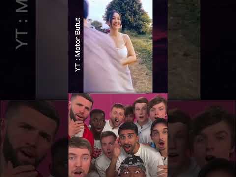 Lucu anyingnya... #shorts #trending #funny #foryou #reels #tiktok