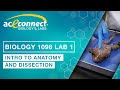 Anatomical Terminology and Dissection Techniques