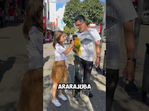 Vc jรก viu uma arara de pertinho ? #viral #shortsviral