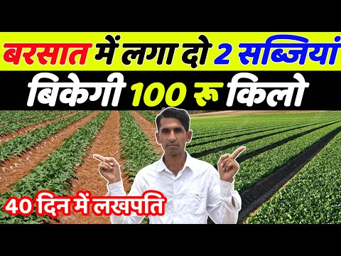 बरसात में मूली और पालक की खेती | Muli ki kheti | Palak ki kheti | July me konsi sabji lagaye | sabji