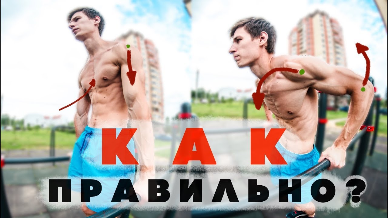 Отжимания на брусьях! Как правильно?