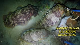 EP 462: JACKPOT SUMAMPA NA MALALAKI 👍👍