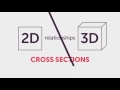 Understanding Cross-Sections
