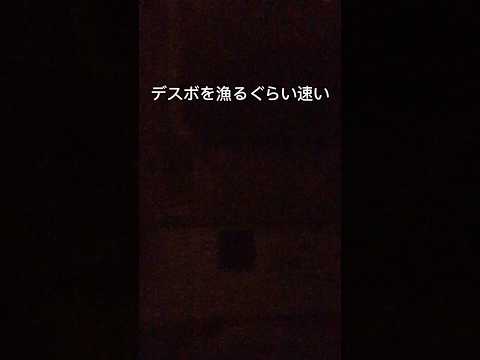 開けたら閉める! #冷蔵庫 #家電 #apex #バトロワ #面白い