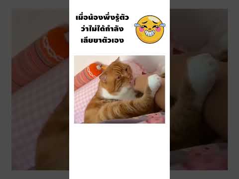 เห็นครั้งแรกอดเอ็นดูไม่ได้!! น้องความรู้สึกช้ามาก!!