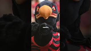 Por que o Flamengo tem o urubu como mascote? #flamengo #mengao #futebolbrasileiro jogo do flamengo