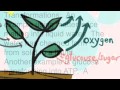 Energy Transfer and Transformation Concepts
