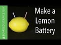 Lemon Battery Experiment Concepts