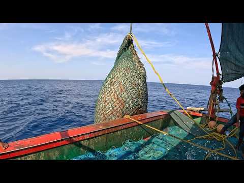 Trawling Boat lot of fish Catch in deep sea | Fish Videos @KadalTv