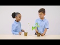 Plant Growth and Light Conditions