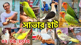 যেই হাটে নেই তেমন কোন পাখি | হাঁস-মুরগি ও কবুতরের বাজার দর জানুন | সাভার হাট | Savar Pet Market #824