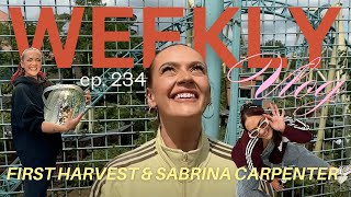 tiny garden POTATO HARVEST! 🥔 Sabrina Carpenter & im a poster girl?? weekly vlog 234 ad
