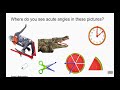 Types and Properties of Angles