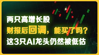 两只高增长股财报后回调:ASML、NFLX能买了吗？这3只AI龙头仍然被低估 #股票分析 #美股