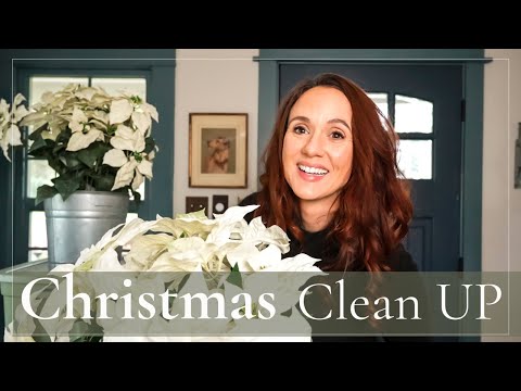 From CHRISTMAS Chaos to Sparkling Clean in THREE DAYS!