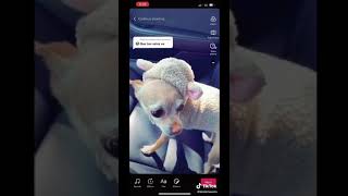 los videos MÁS POPULARES DEL Fresco Kirby
