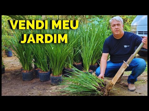 FAZENDO DINHEIRO COM MEU JARDIM