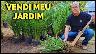 FAZENDO DINHEIRO COM MEU JARDIM