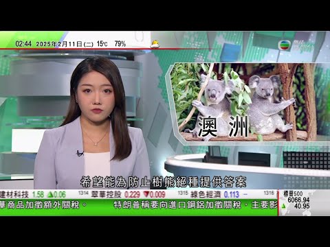 無綫TVB 0200新聞報道｜義烏國際商貿城春節後「啟市」 有商戶稱不擔心加關稅影響生意｜澳洲新南威爾士州發現「樹熊天堂」 當局加緊植樹助擴大生活空間｜澳洲阿德萊德退伍軍人協會收到來歷不明一戰日記｜