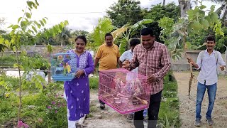 New Birds Arrived From Raipur For Parrot Dipankar New Farm.