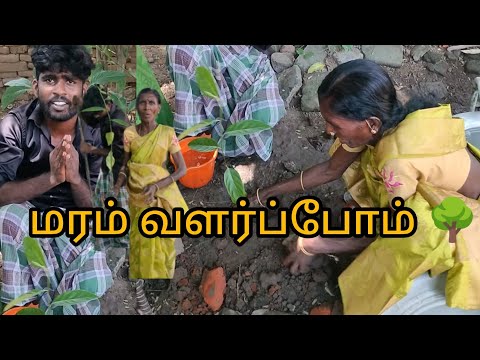 மரம் வளர்ப்போம் மழை நீர் பெறுவோம் 🌾🌱🙏🥹 #village#  #villageboy2809# ...